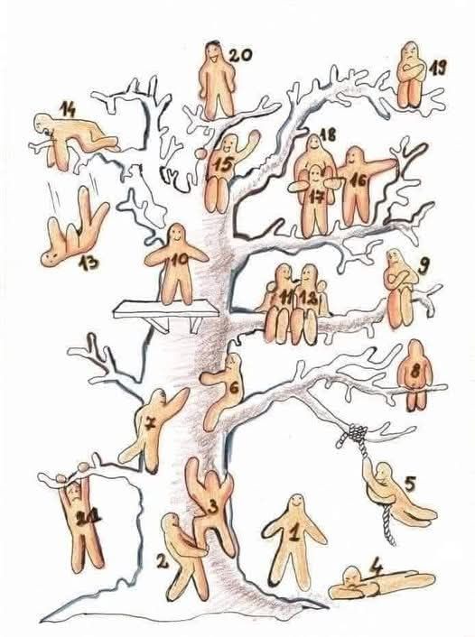 Blob tree Paca fa  jellemzés